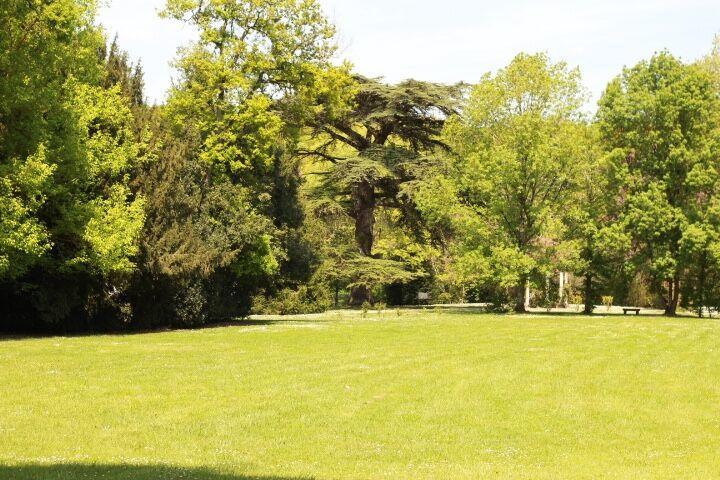 Chateau Castelrives Bessières 외부 사진